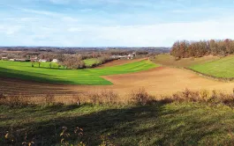 Gérer les paysages favorisant les auxiliaires