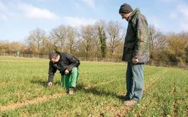 Analyse des résultats économiques d'une ferme bio en Beauce