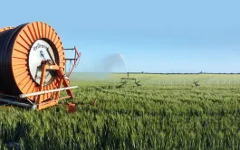 Bénéfices et inconvénients de l'irrigation des céréales à paille