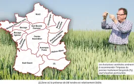 Recommandations régionales pour le choix des variétés de blé tendre