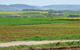 La méthode Label Bas-Carbone « Grandes cultures » a été approuvée