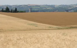 Scénarios d'adaptation au changement climatique dans le Sud-Ouest