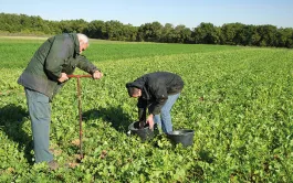 Les processus du fonctionnement racinaire