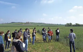 Introduire des CIVE en systèmes céréaliers des zones intermédiaires