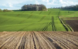 Le Pacte vert réaffirmé