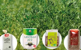 Production, collecte et marché de la lentille française