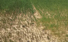 Azote, phosphore, potassium à surveiller de près en AB