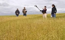 4 ans pour faciliter la transition numérique de l'agriculture