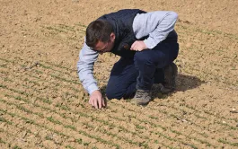 La nouvelle version de Vigicultures sort cet été