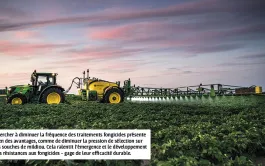 Protection intégrée contre le mildiou de la pomme de terre