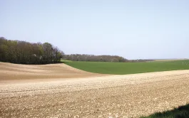 Diminuer les émissions de carbone en Champagne crayeuse