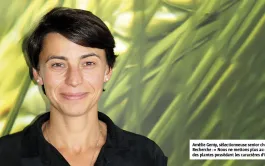 « la sélection des orges d’hiver brassicoles à 6 rangs a démarré il y a plus de 40 ans et le progrès génétique s’accélère »