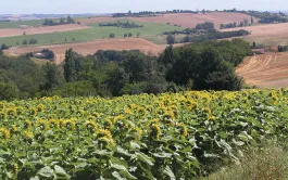 La transition bas carbone étudiée pour une ferme-type du Lauragais