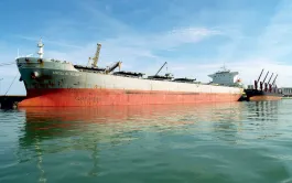 Malgré une montée en puissance de la mer Noire, le blé français tient son rang sur le marché algérien