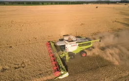 Prévisions à dix ans de l’évolution des marchés agricoles européens