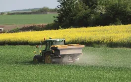 Une nouvelle approche de la fertilisation azotée du blé