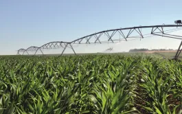 Garder nos capacités d'irrigation exige plus de ressources en eau