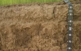 Prévenir les tassements du sol en surface et surtout en profondeur