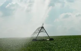 Maximiser le rendement avec l'irrigation du maïs