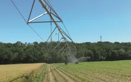 Le point sur l'irrigation à modulation intraparcellaire