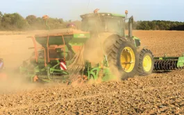 Bilan de campagne « Céréales à paille » 2019 : un bon cru aux causes inattendues