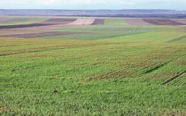 Rendements agricoles : de nouveaux éléments en faveur de la diversification