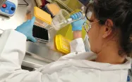 Les SDP peuvent être issus d’organismes vivants, de substances de synthèse ou minérales.