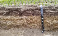 Un sol décompacté présente encore des zones non travaillées, mais les dents ont aménagé des « couloirs » meubles qui améliorent la porosité.