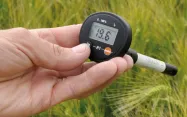 Une main tient un thermomètre affichant la température de l'air sur arrière-plan de champ de blé vert