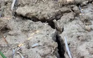 Crevasse terre végétale due à la sécheresse