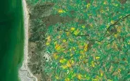 Image satellite de parcelles agricoles fournie par Airbus et traitée par Airbus-Farmstar.