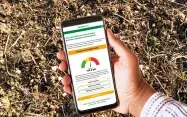 Une main tient un téléphone mobile sur l'écran duquel s'affiche une jauge et un score de points évaluant l’efficacité de sa stratégie de contrôle des graminées adventices automnales.