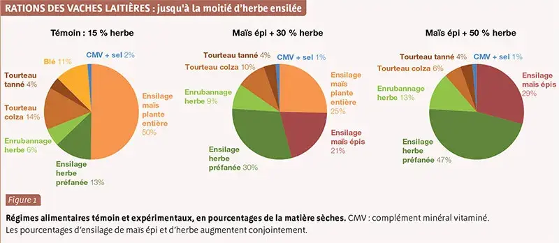 Graphiques rations des vaches laitières