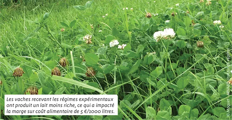 Les vaches recevant les régimes expérimentaux ont produit un lait moins riche