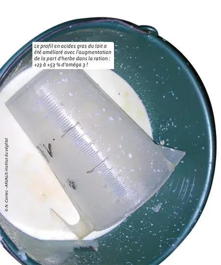 Le profil en acides gras du lait a été amélioré avec l'augmentation de la part d'herbe dans la ration : +23 à +53% d'oméga 3
