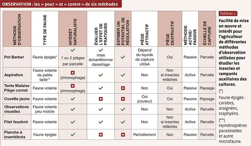 Les six méthodes d'observation des auxiliaires des cultures