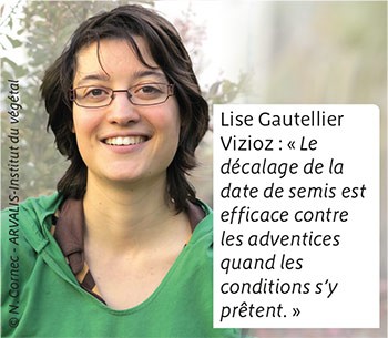 Lise Gautellier Vizioz : « Le décalage de la date de semis est efficace contre les adventices quand les conditions s’y prêtent. »