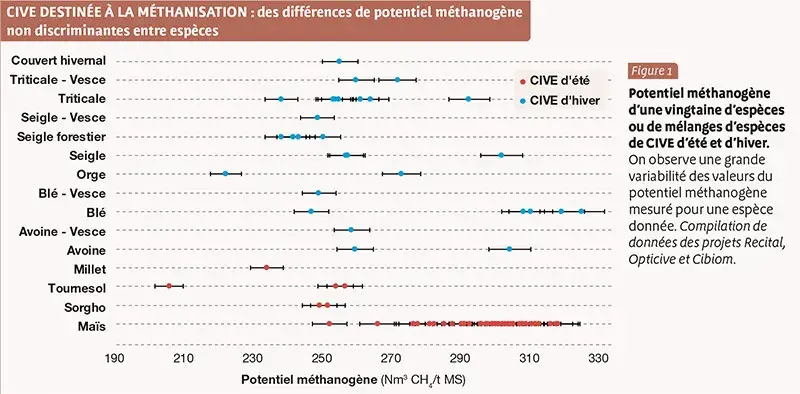 Espèces de CIVE et pouvoir méthanogène