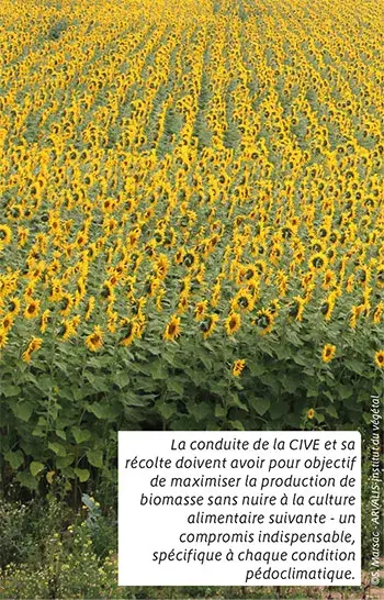 Pouvoir méthanogène des CIVE