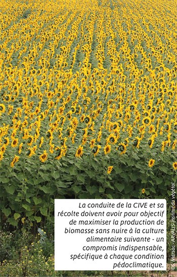 Pouvoir méthanogène des CIVE