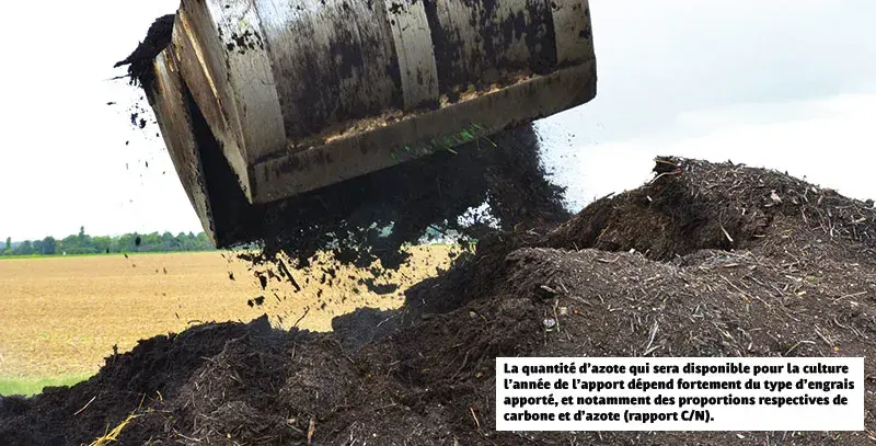 La quantité d’azote qui sera disponible pour la culture l’année de l’apport dépend fortement du type d’engrais apporté, et notamment des proportions respectives de carbone et d’azote (rapport C/N).