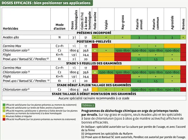 DOSES EFFICACES Désherbage orge de printemps : bien positionner ses applications
