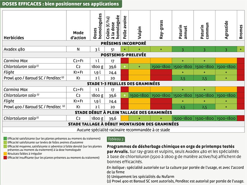 DOSES EFFICACES Désherbage orge de printemps : bien positionner ses applications