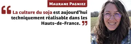 La culture du soja dans les Hauts-de-France