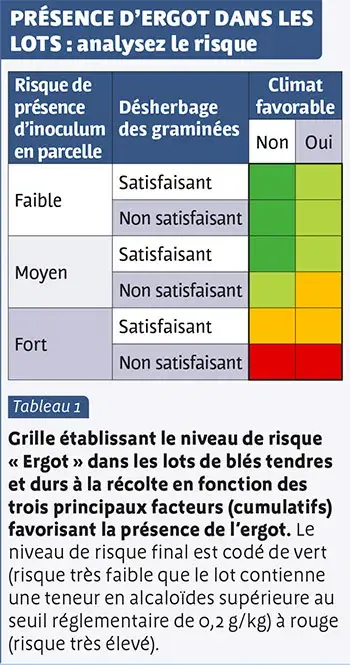 présence d'ergot dans les lots : analysez le risque