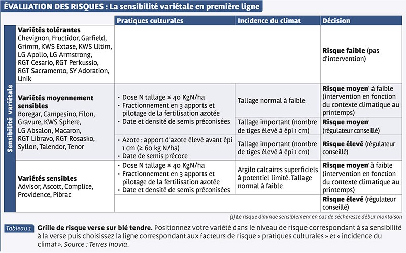 EVALUATION DES RISQUES : La sensibilité variétale en première ligne