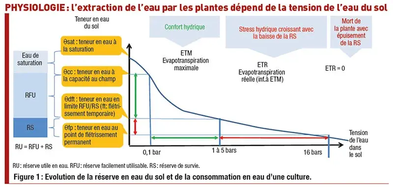Evolution de la réserve en eau du sol et de la consommation en eau d'une culture