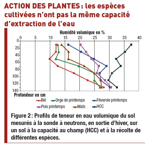 Profils de teneur en eau volumique du sol mesurés à la sonde à neutrons, en sortie d'hiver, sur un sol à la capacité au champ (HCC) et à la récolte de différentes espèces