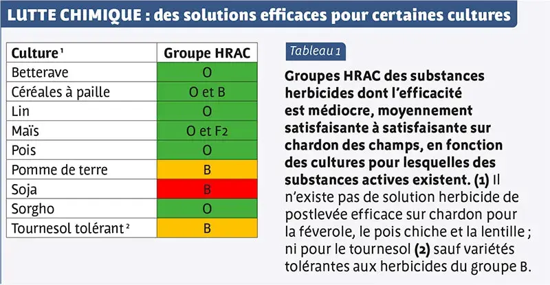 LUTTE CHIMIQUE : des solutions efficaces pour certaines cultures