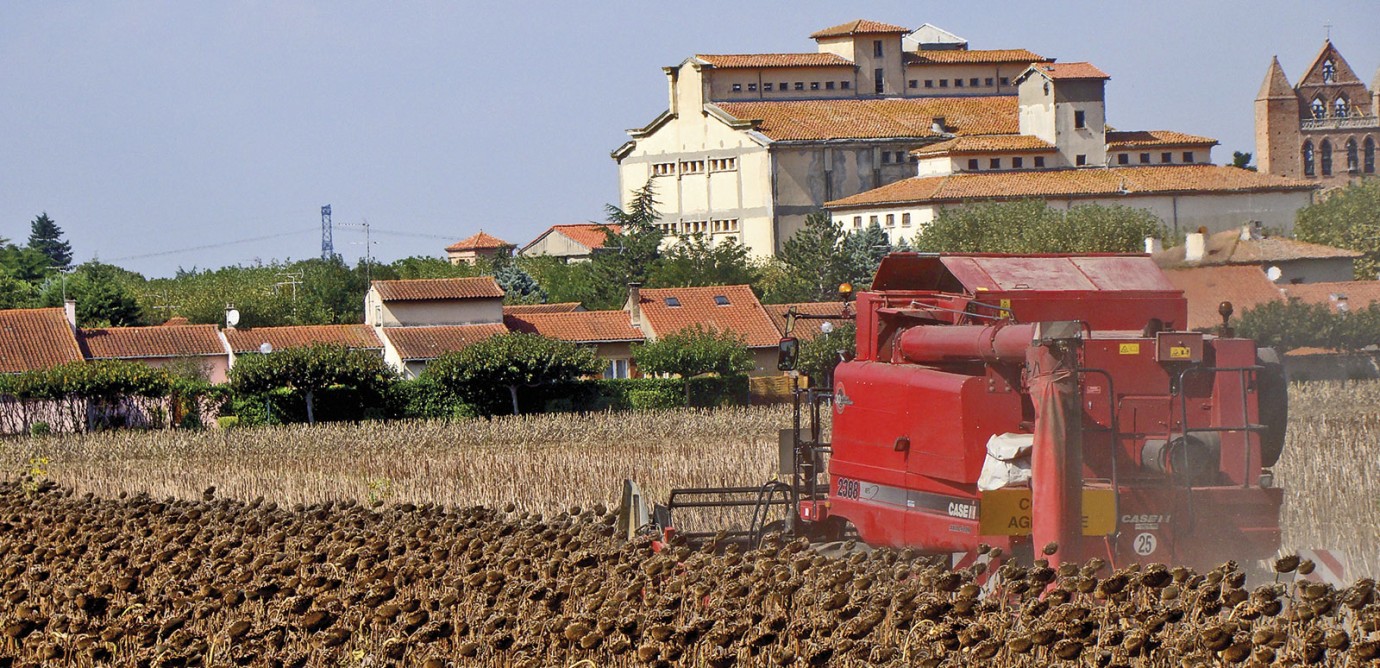 Après récolte, le tournesol requiert un contrôle régulier de la température afin de maîtriser la ventilation de refroidissement et prévenir tout échauffement.
